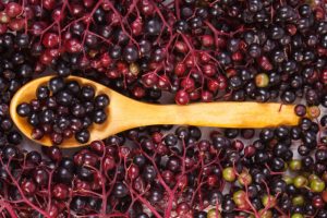 Cold and Flu Elderberry