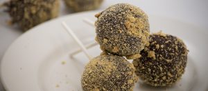 ESC Smores Pops